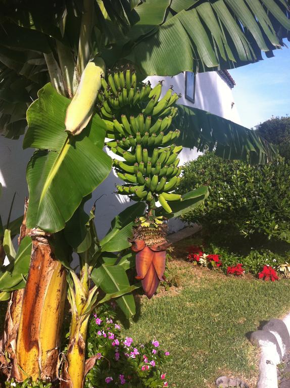 Apartment Eden Island Village Costa Adeje (Tenerife) Exterior foto